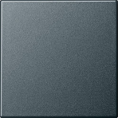 Лицевая панель Gira System55 для 1-кл. выключателя антрацит фото Лицевая панель Gira System55 для 1-кл. выключателя антрацит картинка